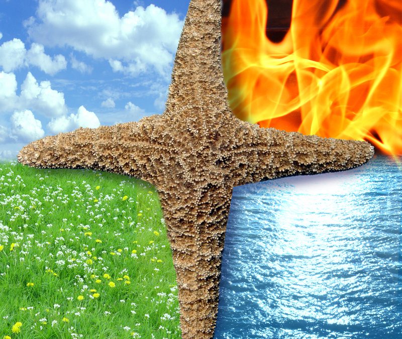 Seminar Identiteit & de 4 elementen door Els Boon en Miranda van Keulen