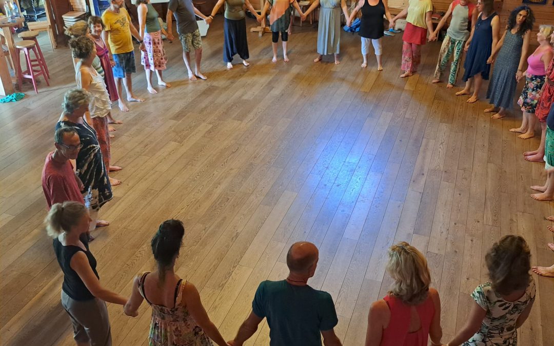 Weekendnr 1. Definitie en theoretisch model van biodanza